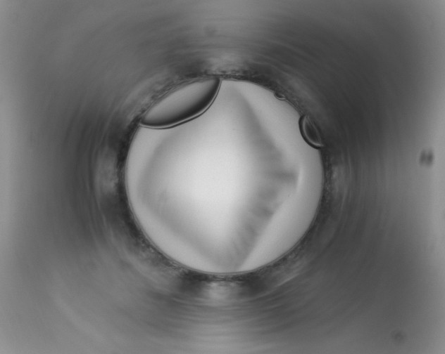 X0000112900508200909181939