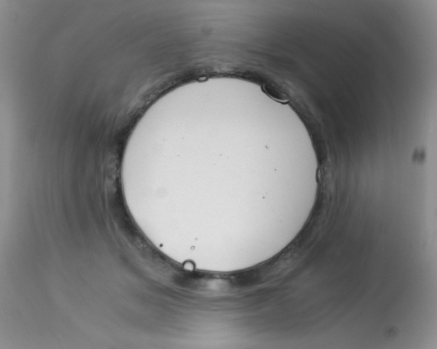 X0000112900509200909181939