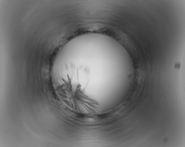 X0000112900510200909181939