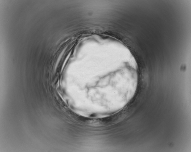 X0000112900511200909181939