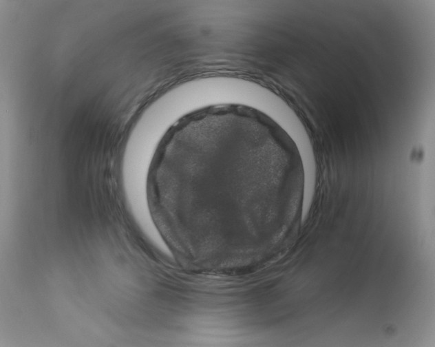 X0000112900512200909181939