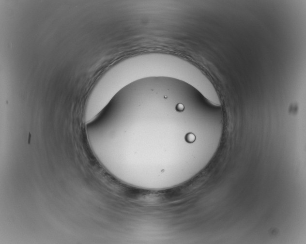 X0000112900513200909181939