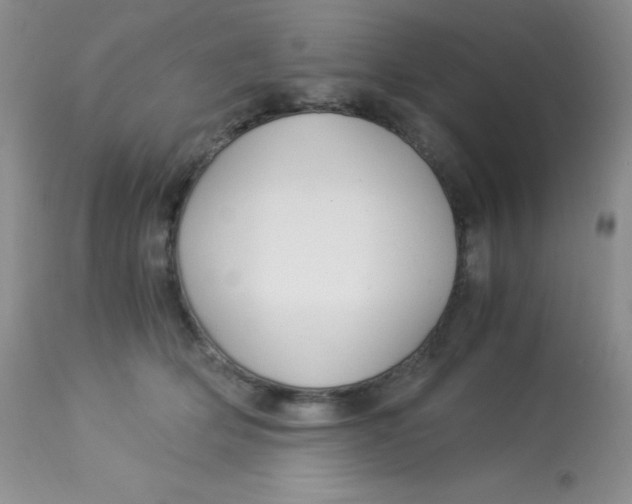 X0000112900514200909181939