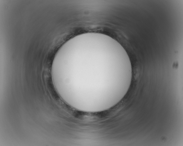 X0000112900515200909181939