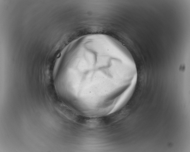 X0000112900516200909181939