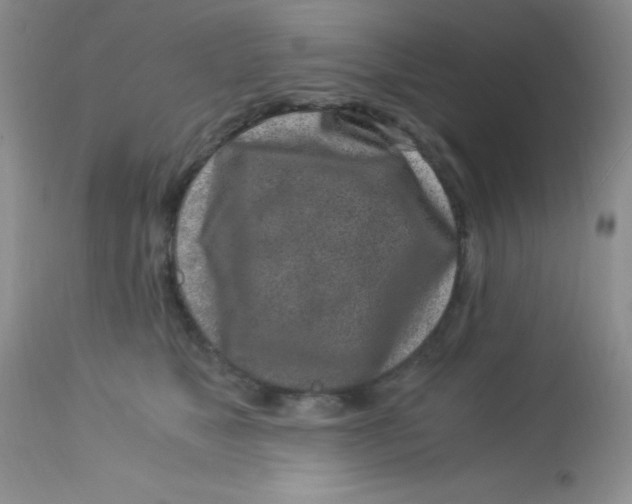 X0000112900517200909181939