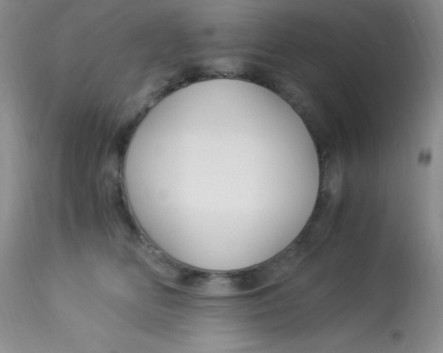 X0000112900518200909181939