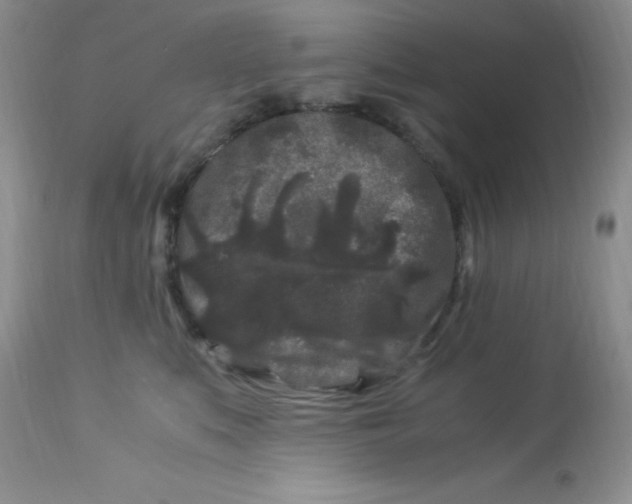 X0000112900519200909181938