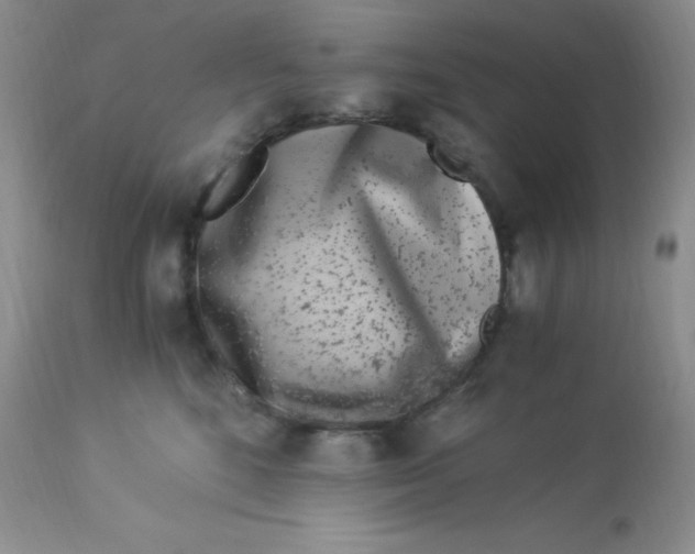 X0000112900520200909181938