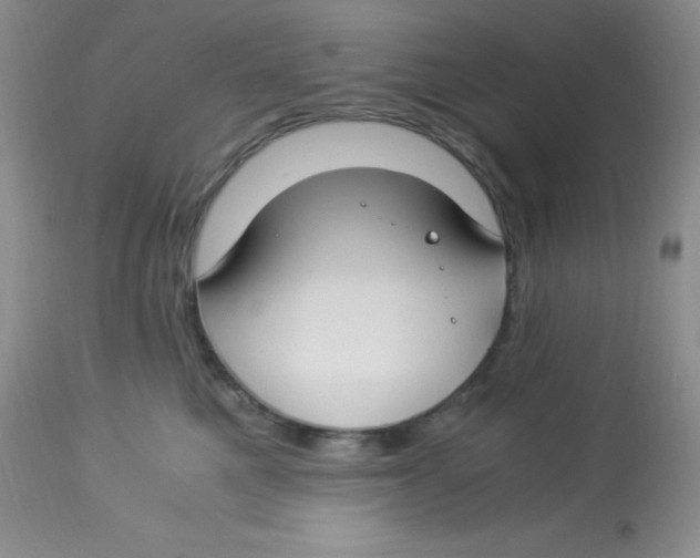 X0000112900521200909181938