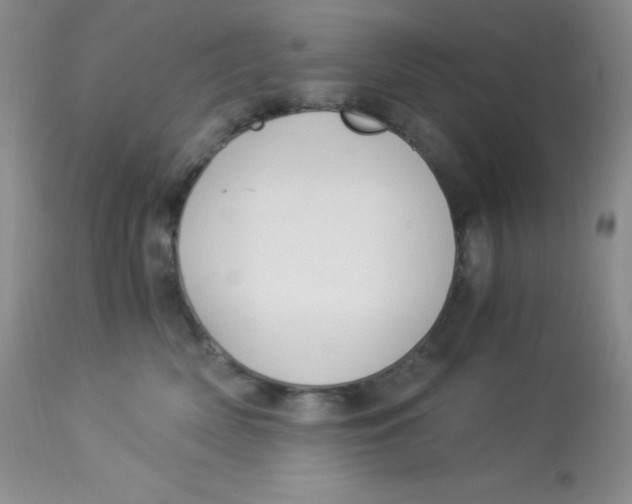 X0000112900522200909181938