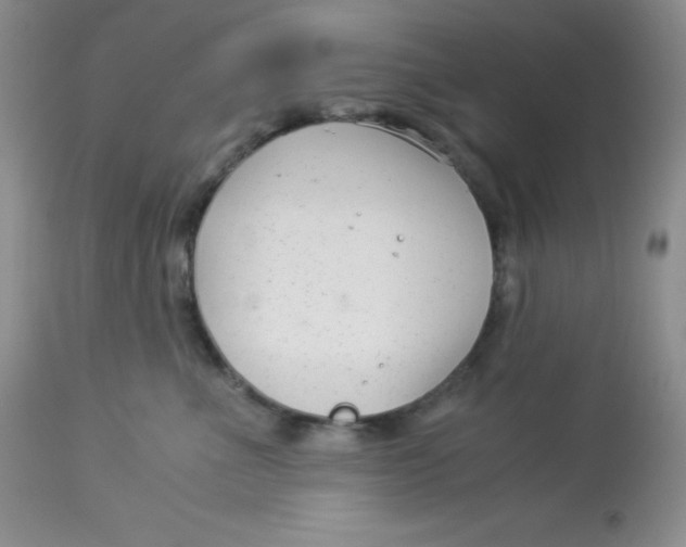 X0000112900523200909181938