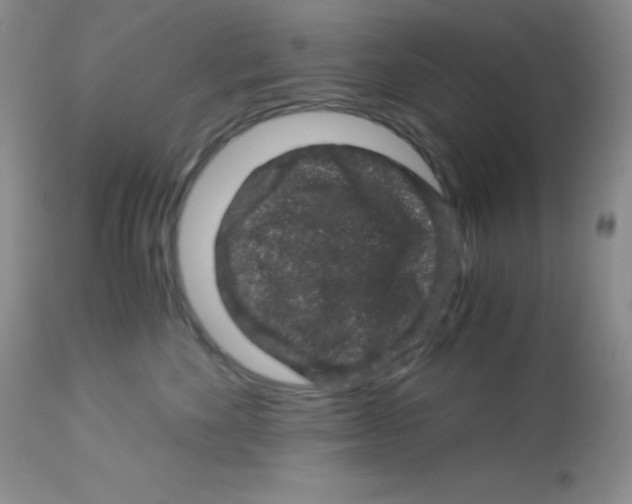 X0000112900524200909181938