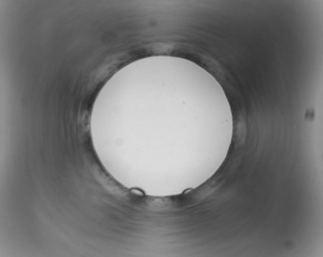 X0000112900525200909181938