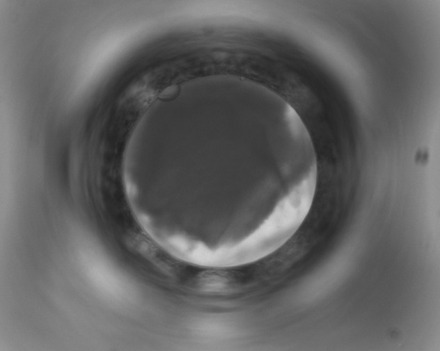 X0000112900526200909181938