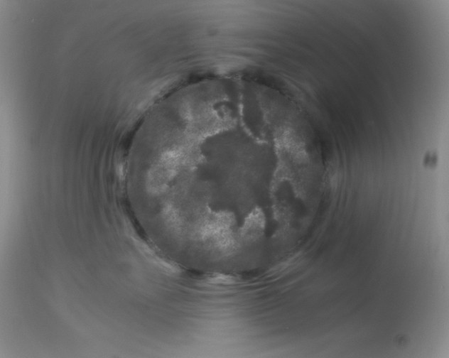 X0000112900527200909181938