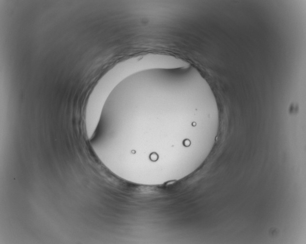 X0000112900528200909181938