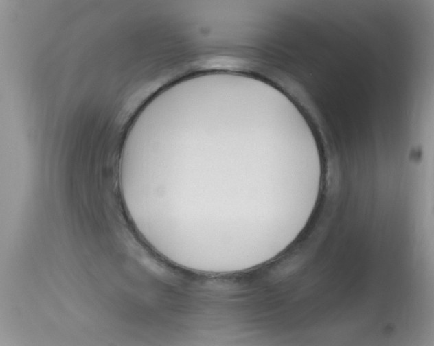 X0000112900529200909181938