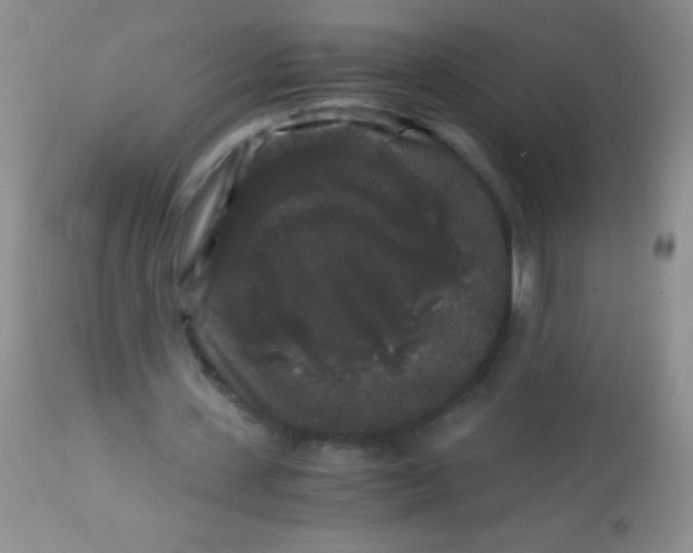 X0000112900531200909181938