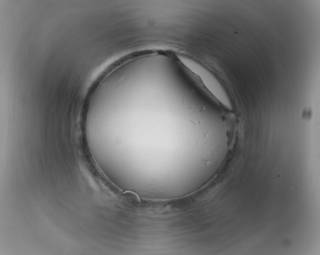 X0000112900532200909181938
