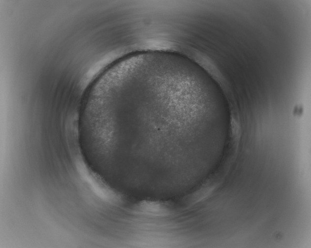 X0000112900534200909181938