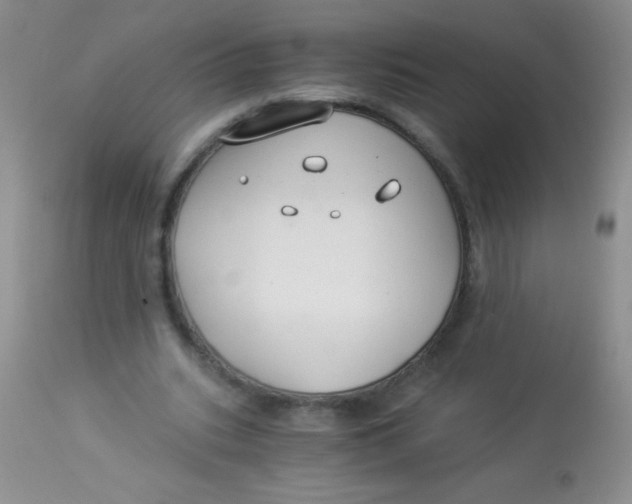 X0000112900535200909181938