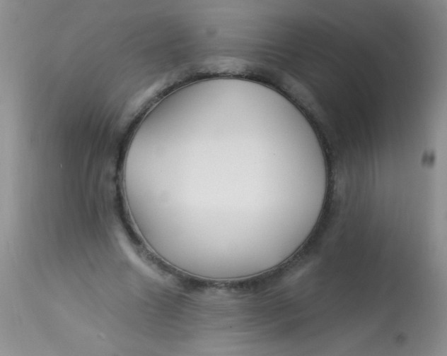 X0000112900538200909181938