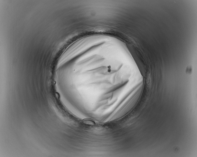 X0000112900540200909181938
