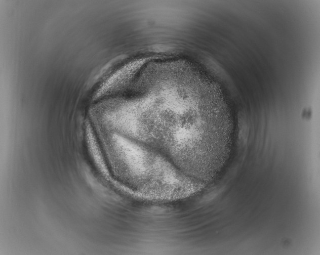 X0000112900542200909181938