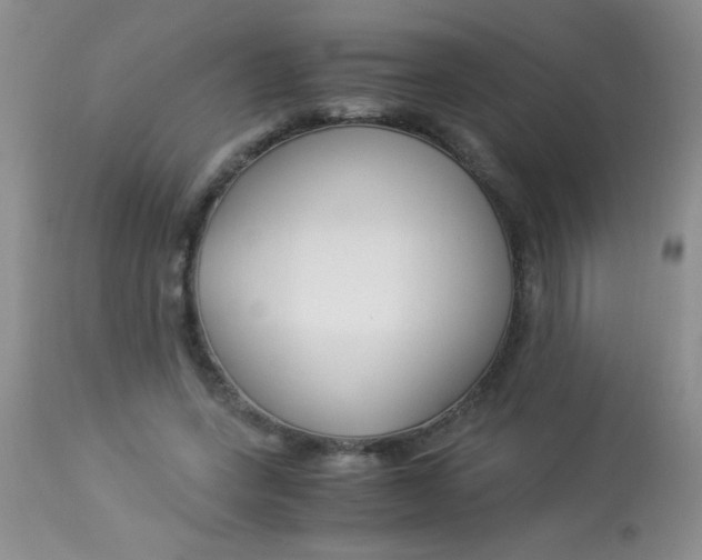 X0000112900543200909181938