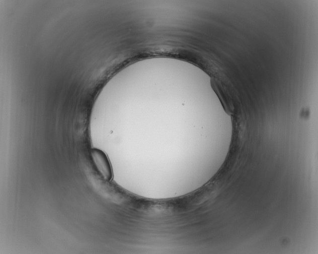 X0000112900546200909181938