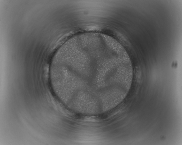 X0000112900550200909181938
