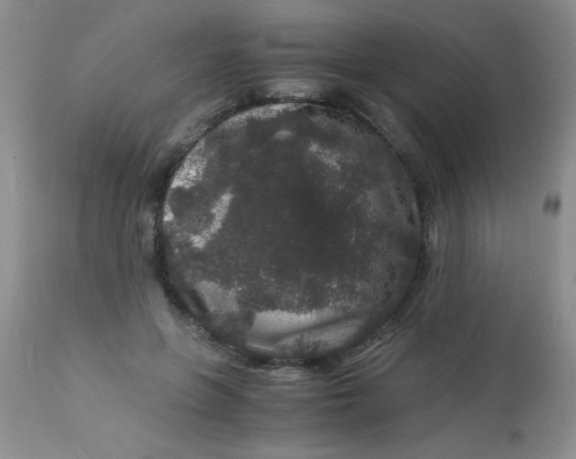 X0000112900551200909181938