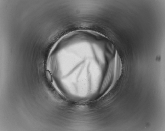 X0000112900552200909181938