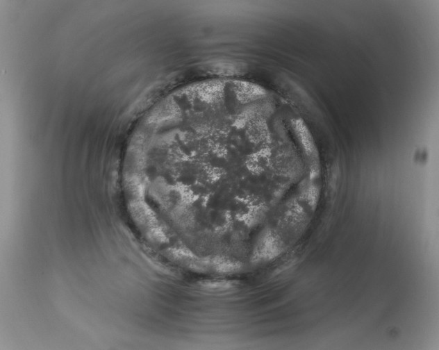 X0000112900553200909181938