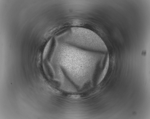 X0000112900554200909181938