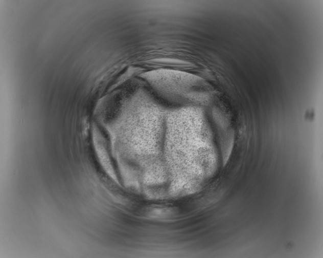 X0000112900555200909181938