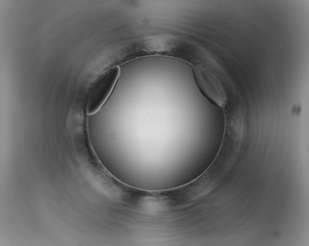 X0000112900556200909181938