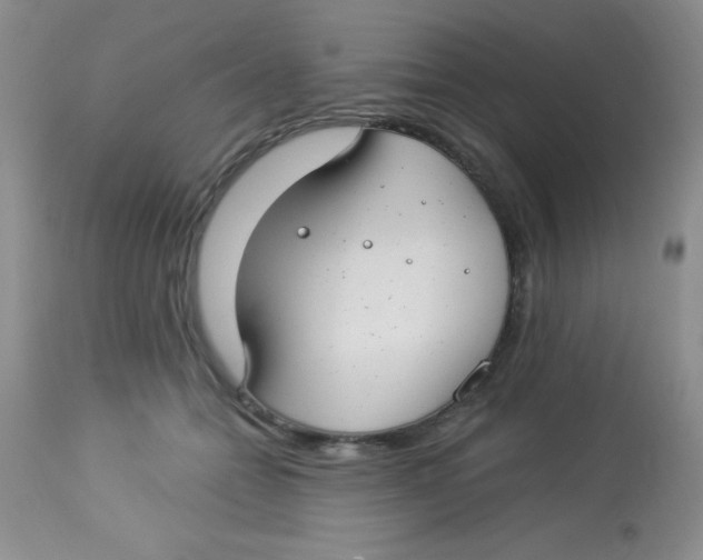 X0000112900558200909181938
