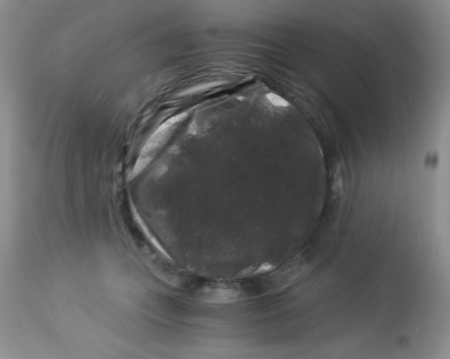 X0000112900559200909181938