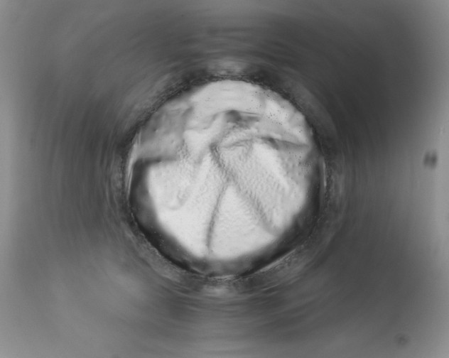 X0000112900561200909181938