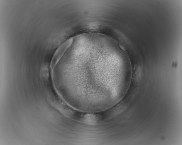 X0000112900562200909181938