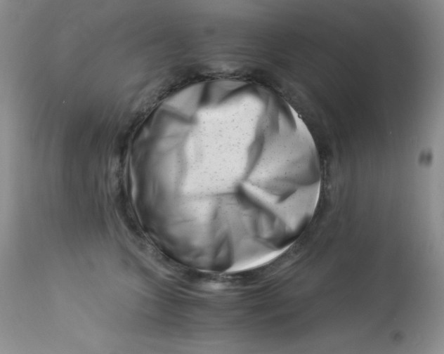 X0000112900563200909181938