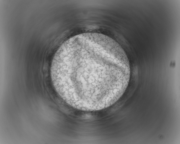 X0000112900565200909181938