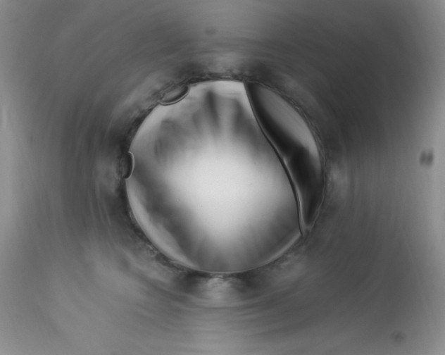 X0000112900566200909181938