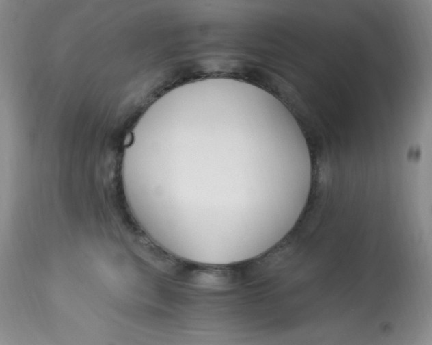 X0000112900567200909181938