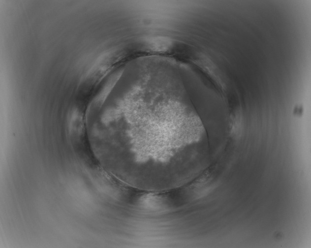X0000112900568200909181938