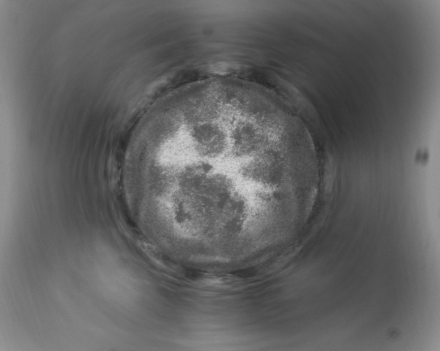 X0000112900569200909181938
