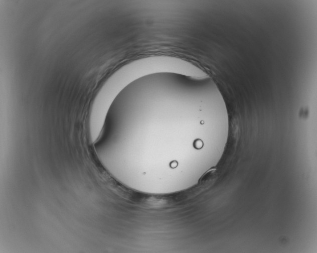 X0000112900570200909181938
