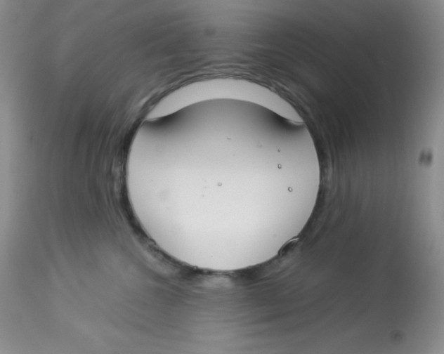 X0000112900572200909181938